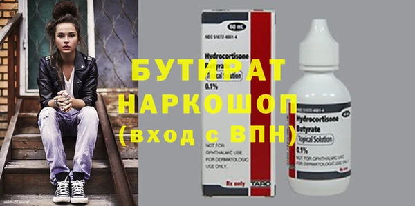 индика Богородицк