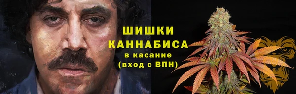 прущие грибы Богданович
