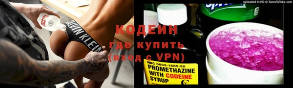прущие грибы Богданович