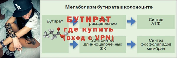 индика Богородицк