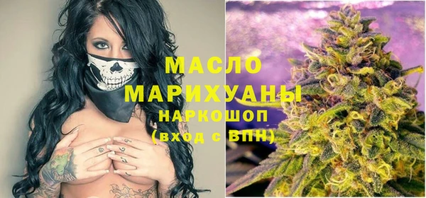 индика Богородицк