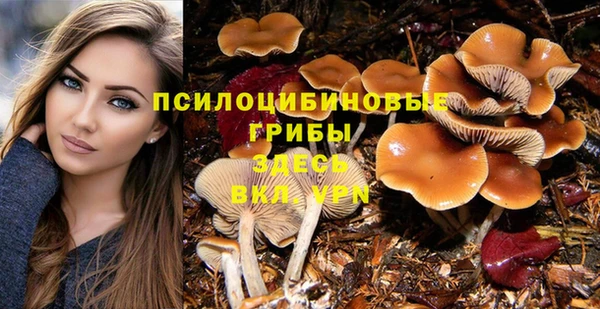 прущие грибы Богданович