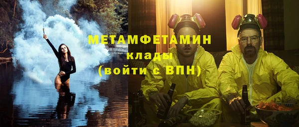 индика Богородицк