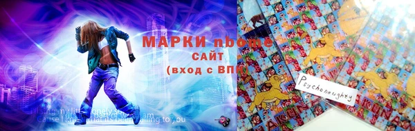 индика Богородицк