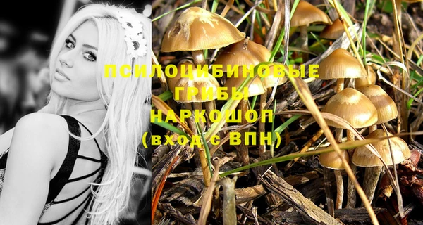 индика Богородицк