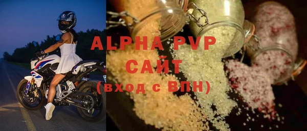 прущие грибы Богданович