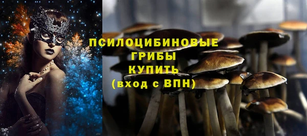 apvp Покров