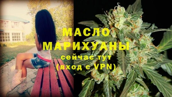 индика Богородицк